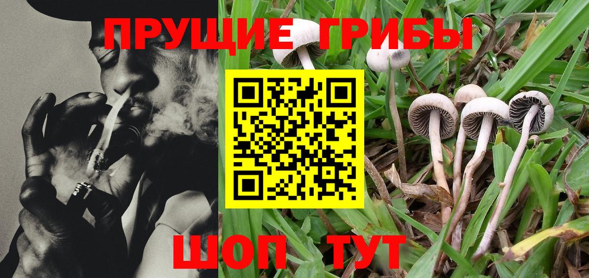 Галлюциногенные грибы мицелий  Югорск 