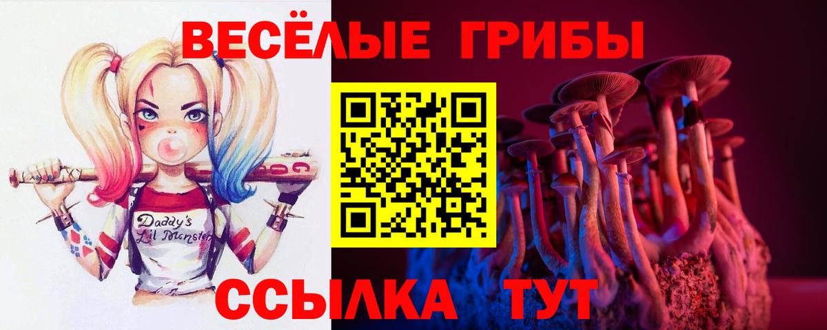 Галлюциногенные грибы Psilocybine cubensis Югорск